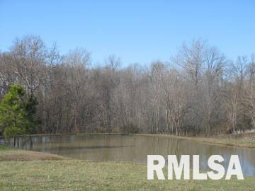 183 Joshua Road Carbondale, IL 62901 - Photo 4 of 8