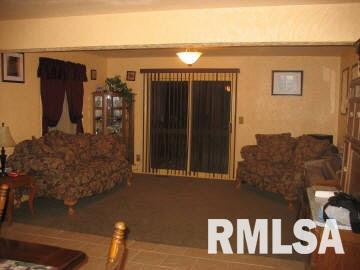 183 Joshua Road Carbondale, IL 62901 - Photo 8 of 8