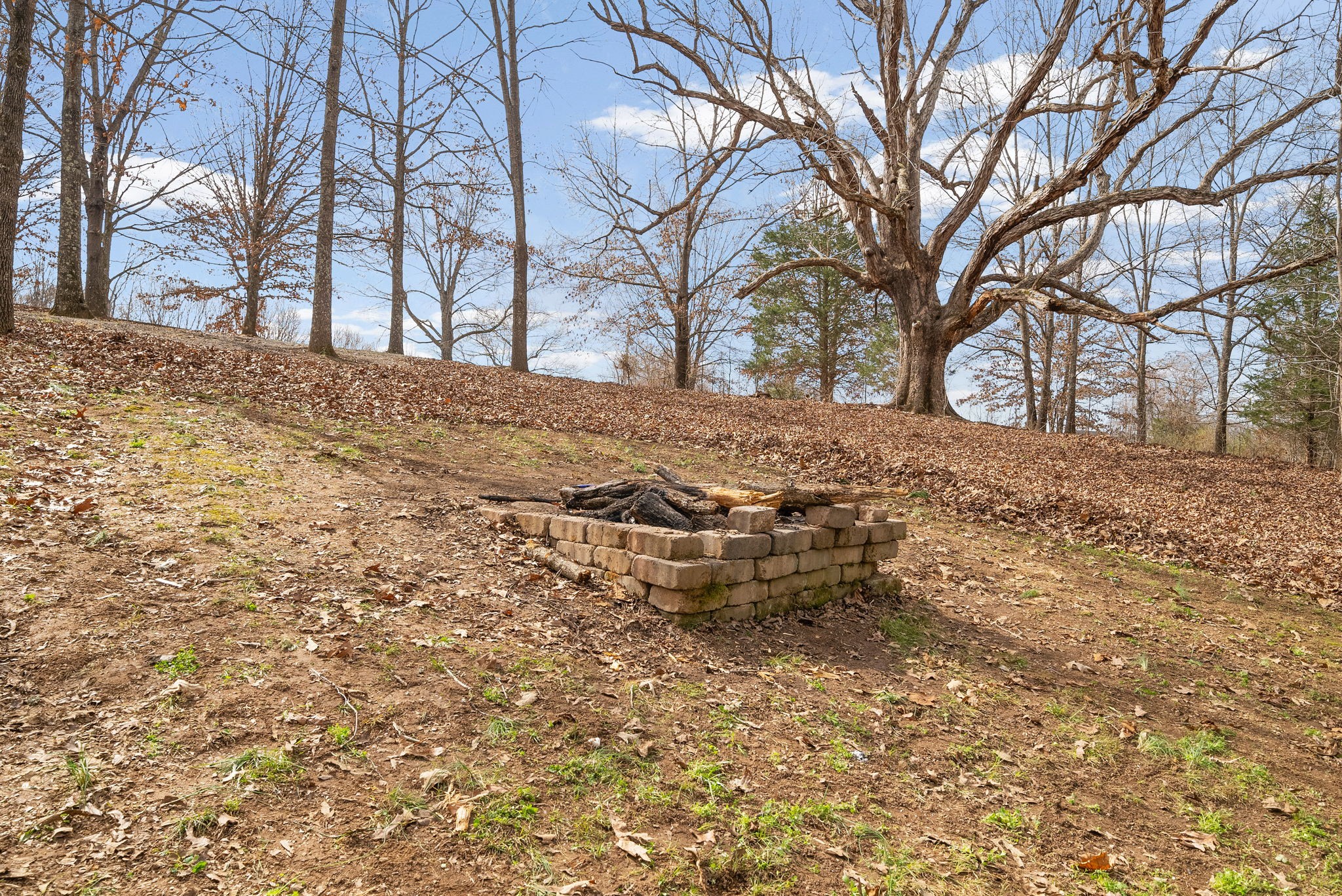 4313 Hargrove Marable Road Palmyra, TN 37142 - Photo 46 of 60