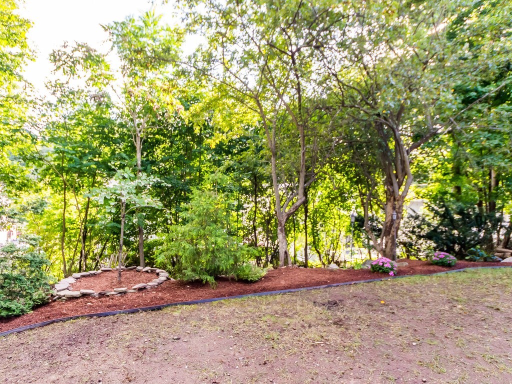 323 Florence Road Waltham, MA 02453 - Photo 5 of 18