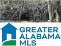 4138 Warrior Jasper Road, Unit METES AND BOUNDS Dora, AL 35062 - Photo 2 of 4