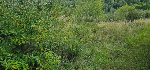 $12,000 | Lot 108 White Flagg La, La Valle, WI 53941