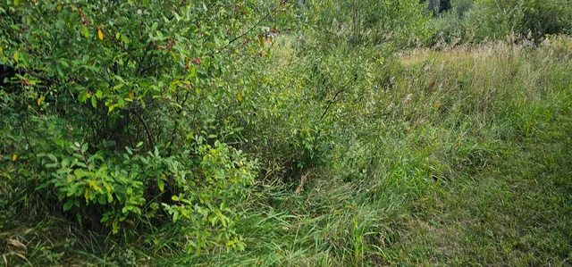 $12,000 | Lot 108 White Flagg La, La Valle, WI 53941