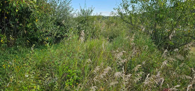 $12,000 | Lot 108 White Flagg La, La Valle, WI 53941