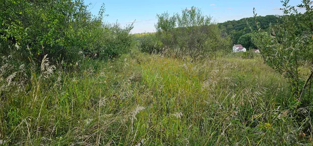 $12,000 | Lot 108 White Flagg La, La Valle, WI 53941