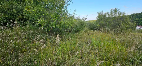 $8,000 | Lot 108 White Flagg La, La Valle, WI 53941