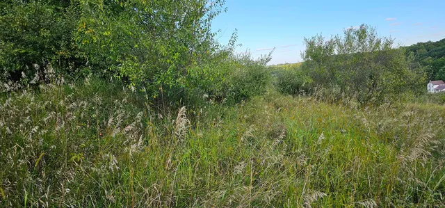 $12,000 | Lot 108 White Flagg La, La Valle, WI 53941