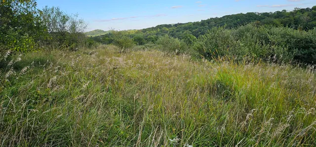 $12,000 | Lot 108 White Flagg La, La Valle, WI 53941