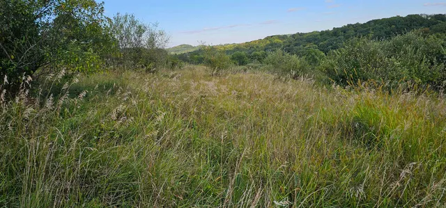 $12,000 | Lot 108 White Flagg La, La Valle, WI 53941