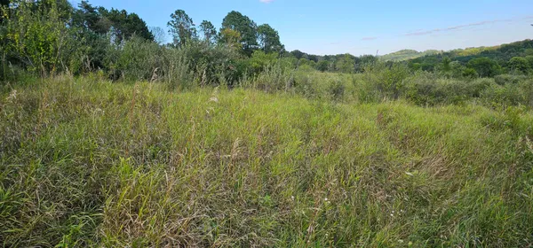 $8,000 | Lot 108 White Flagg La, La Valle, WI 53941