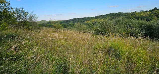 $12,000 | Lot 108 White Flagg La, La Valle, WI 53941