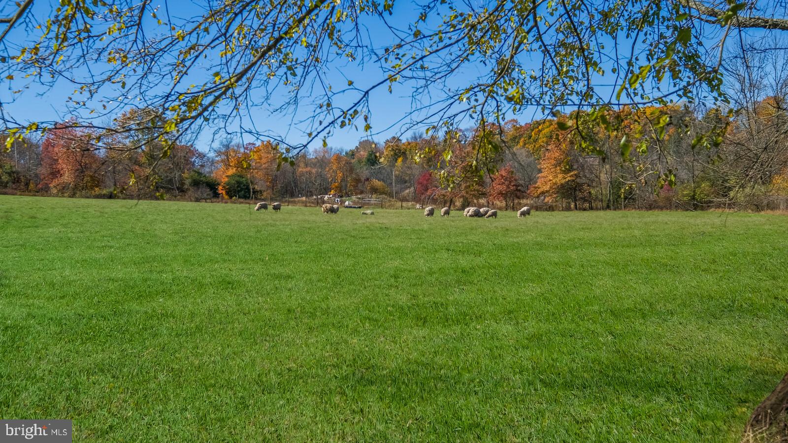 1221 Telegraph Road Perkasie, PA 18944 - Photo 41 of 62 Views....