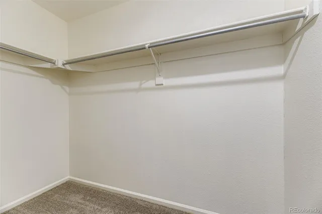 $3,000 | 3781 Morning Glory Drive, Castle Rock, CO 80109