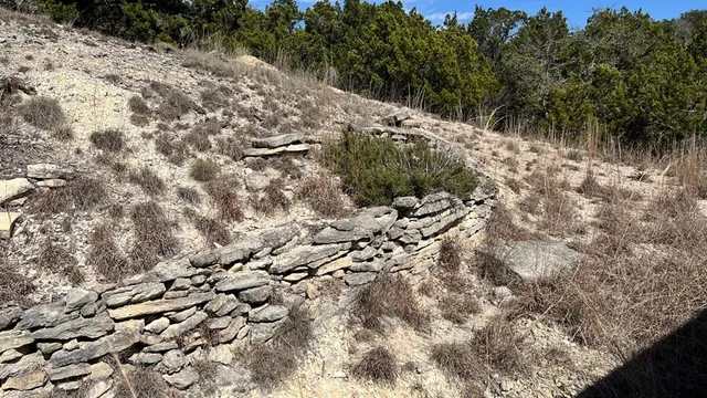 a view of a forest with a mountain in the background