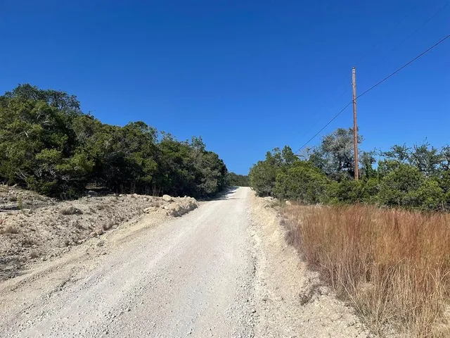 a view of a dry yard with trees