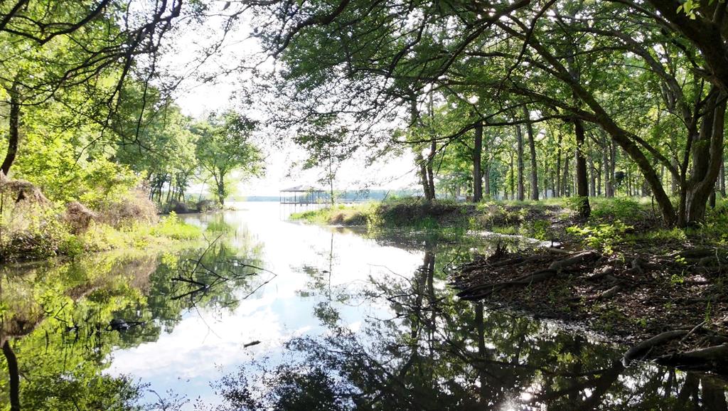 Lot 62 Anchor Point Quinlan, TX 75474 - Photo 3 of 8 a view of lake with green space