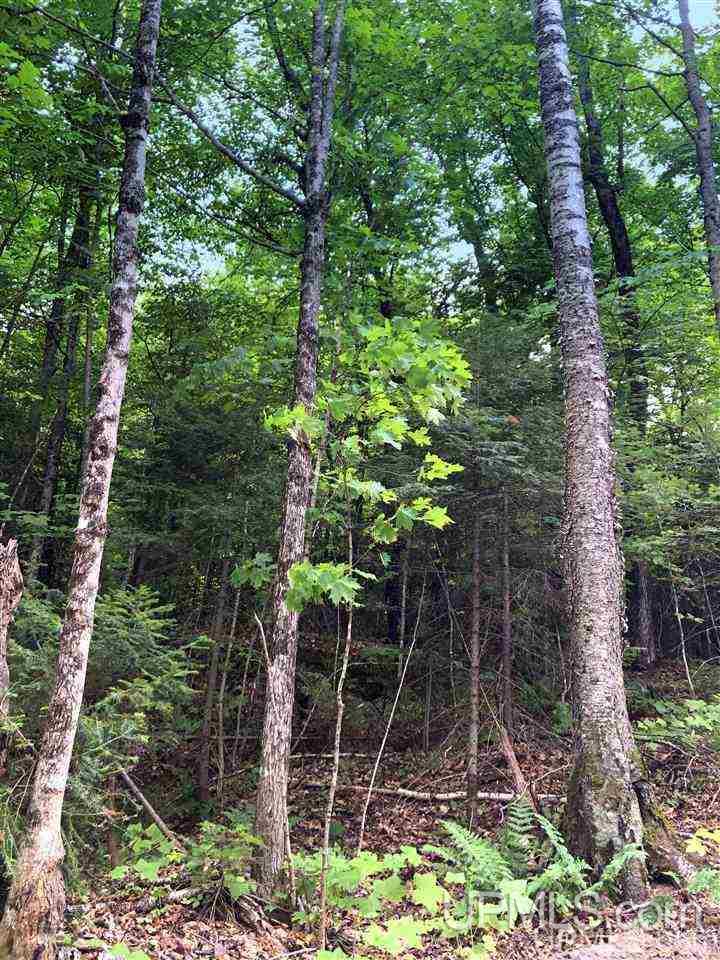 Tbd Deer Lake Road Ishpeming, MI 49849 - Photo 30 of 47