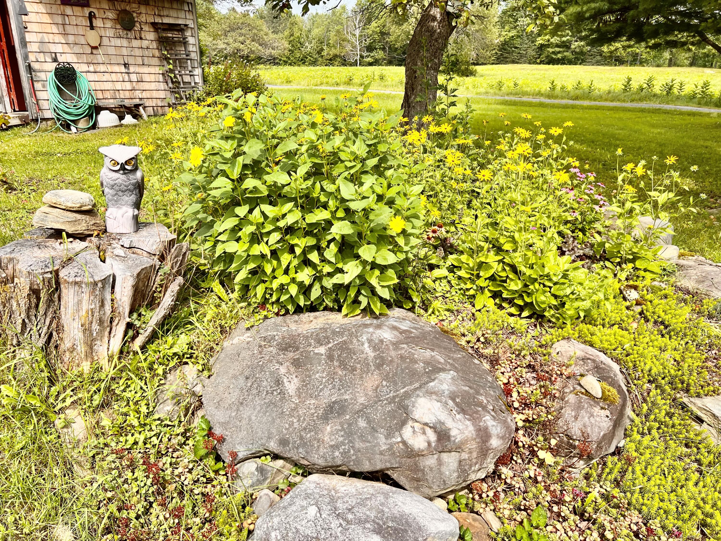 24 Lamson Road Sebec, ME 04481 - Photo 15 of 172 Lots of Perennial Gardens