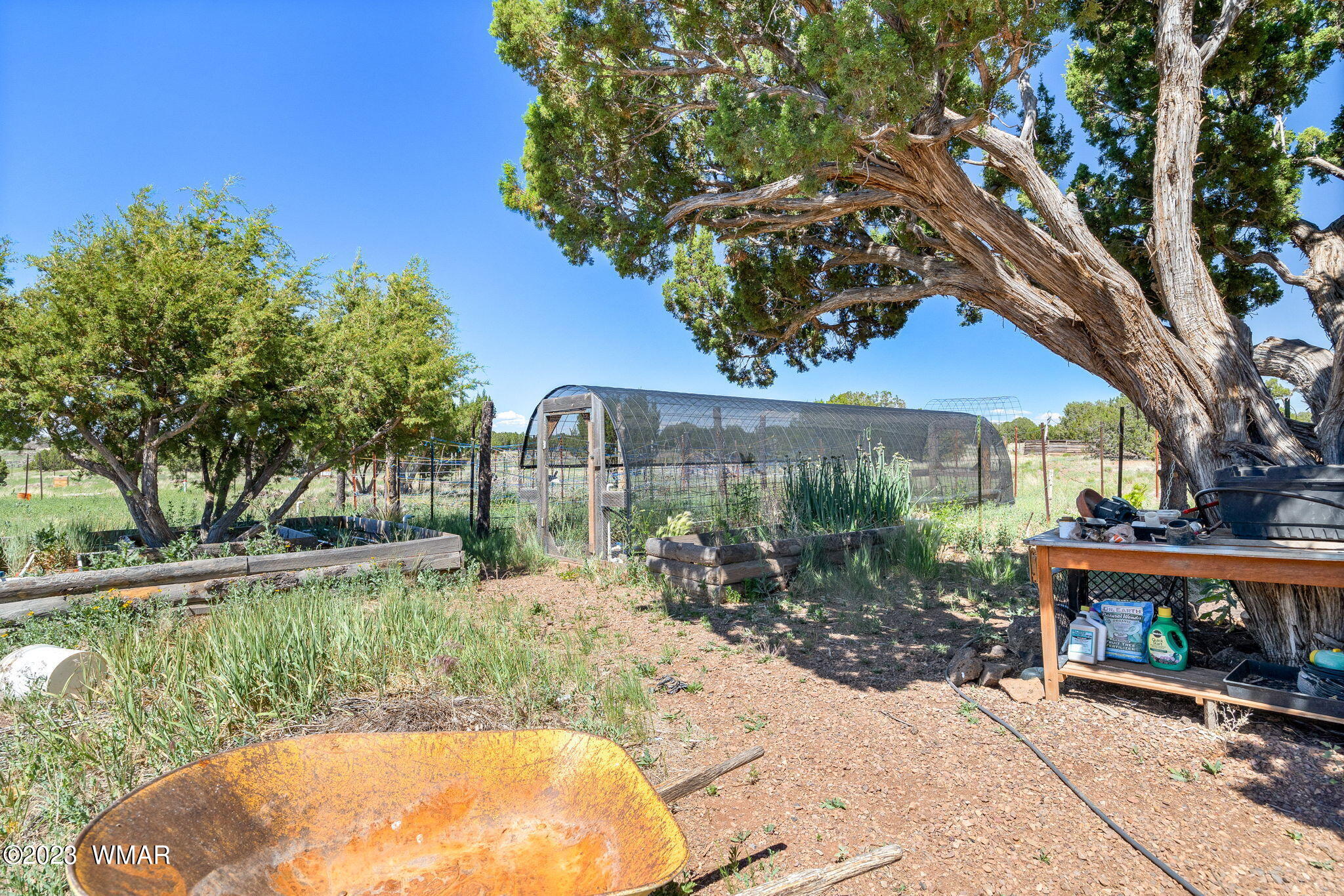 2065 Kc Ranch Road Show Low, AZ 85901 - Photo 17 of 28 Gallery Image 17