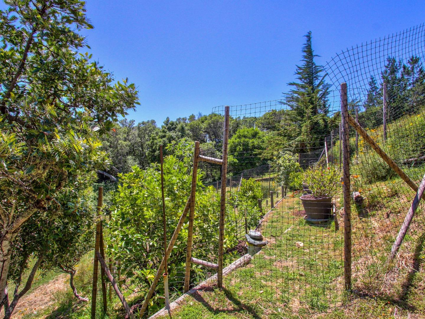 46511 Clear Ridge Road Big Sur, CA 93920 - Photo 21 of 70 Gallery Image 21