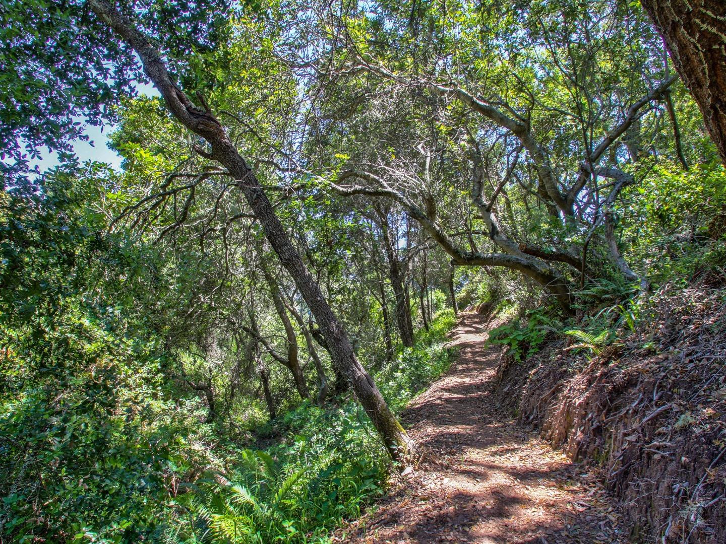 46511 Clear Ridge Road Big Sur, CA 93920 - Photo 27 of 70 Gallery Image 27