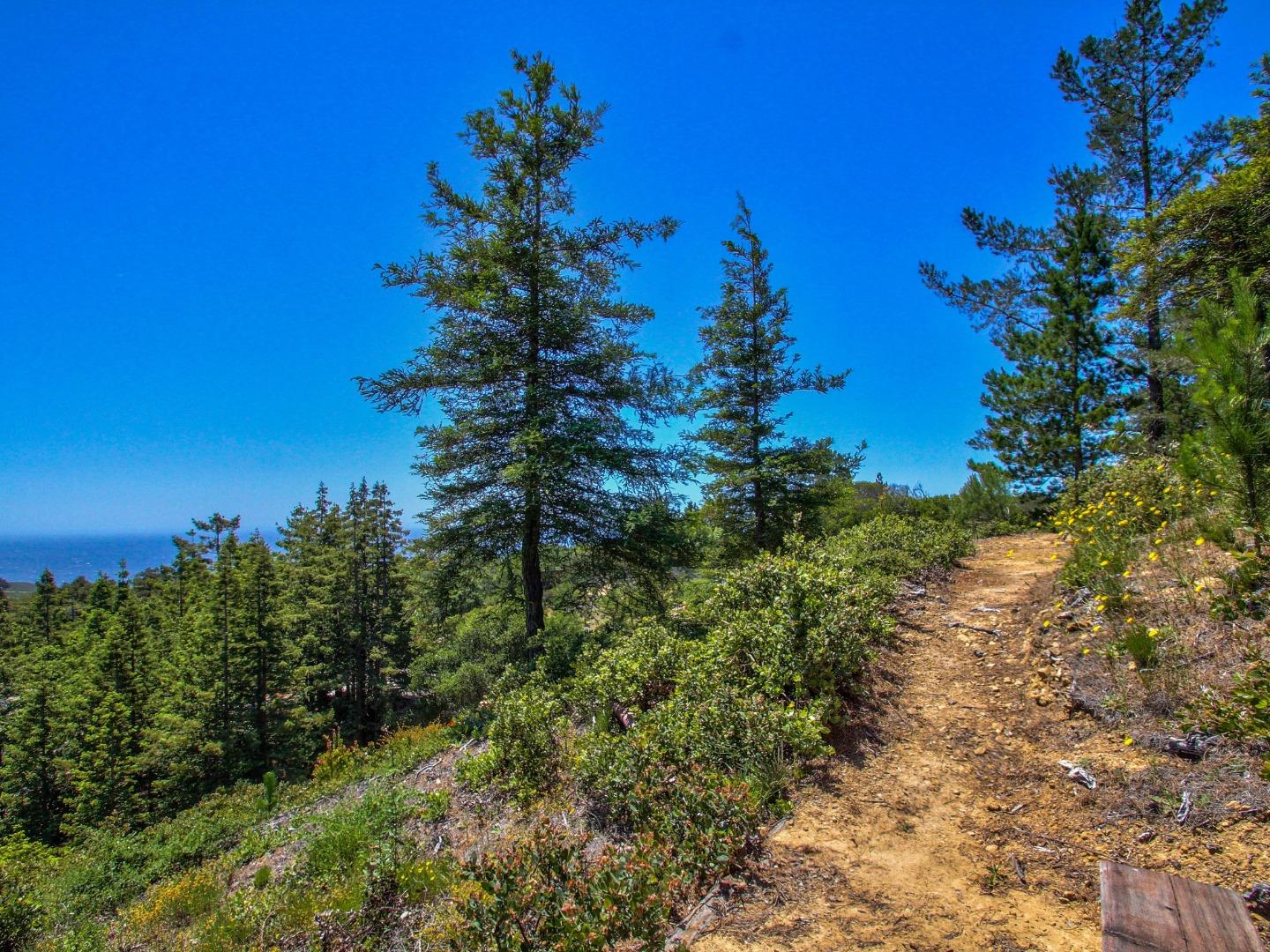 46511 Clear Ridge Road Big Sur, CA 93920 - Photo 50 of 70 Gallery Image 50