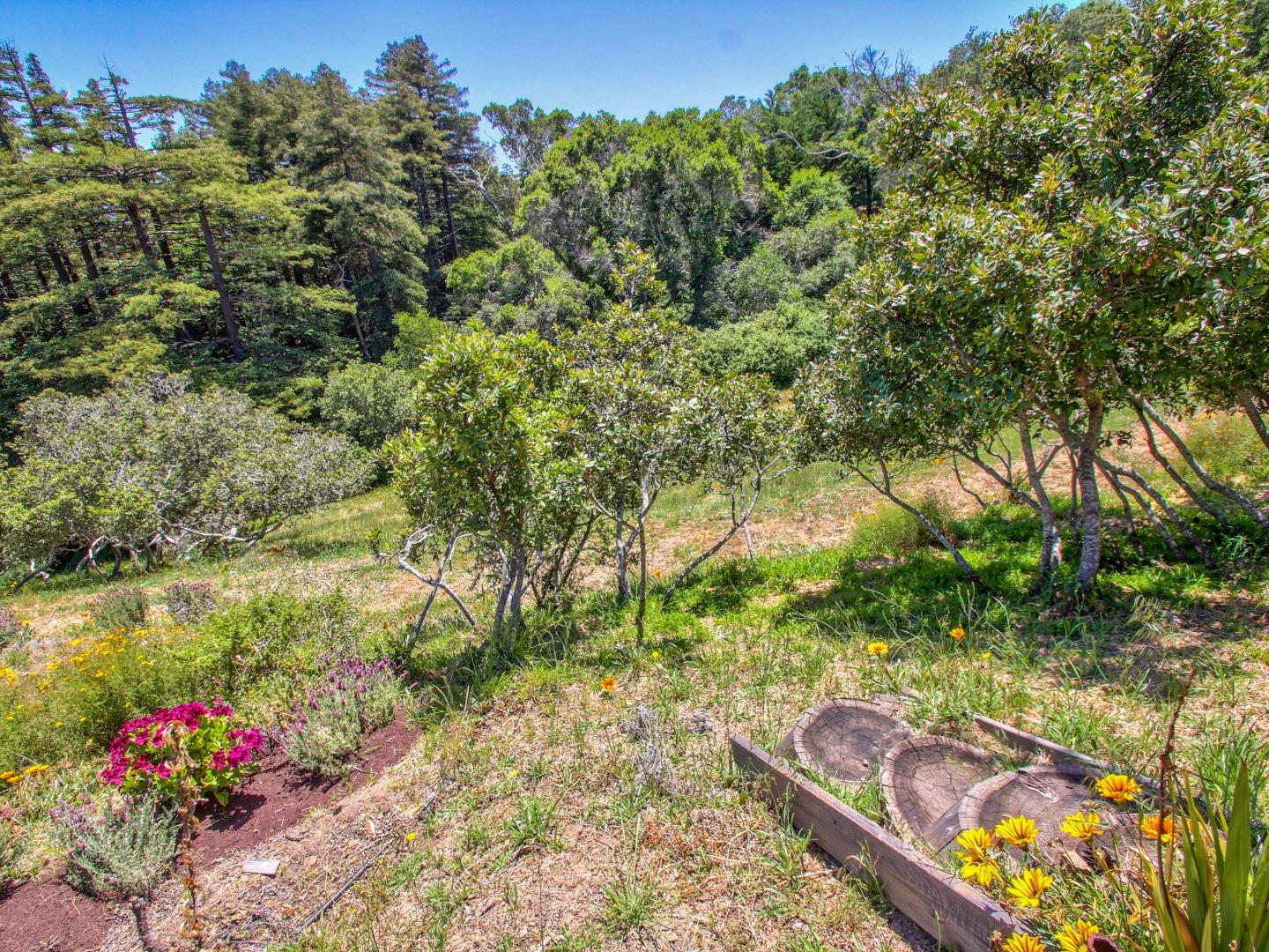 46511 Clear Ridge Road Big Sur, CA 93920 - Photo 60 of 70 Gallery Image 60
