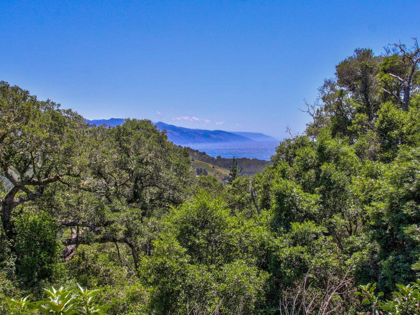 46511 Clear Ridge Road Big Sur, CA 93920 - Photo 63 of 70 Gallery Image 63