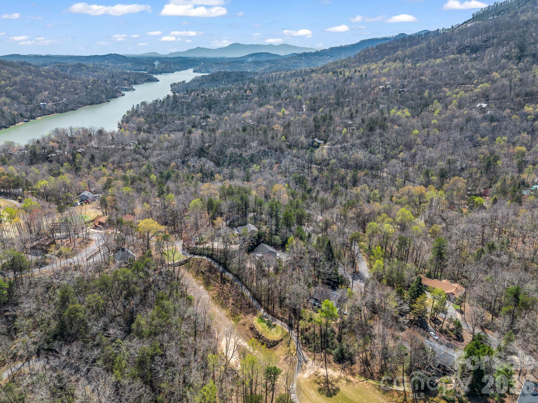 121 Fern Loop Lake Lure, NC 28746 - Photo 11 of 40 a view of a yard next to a road