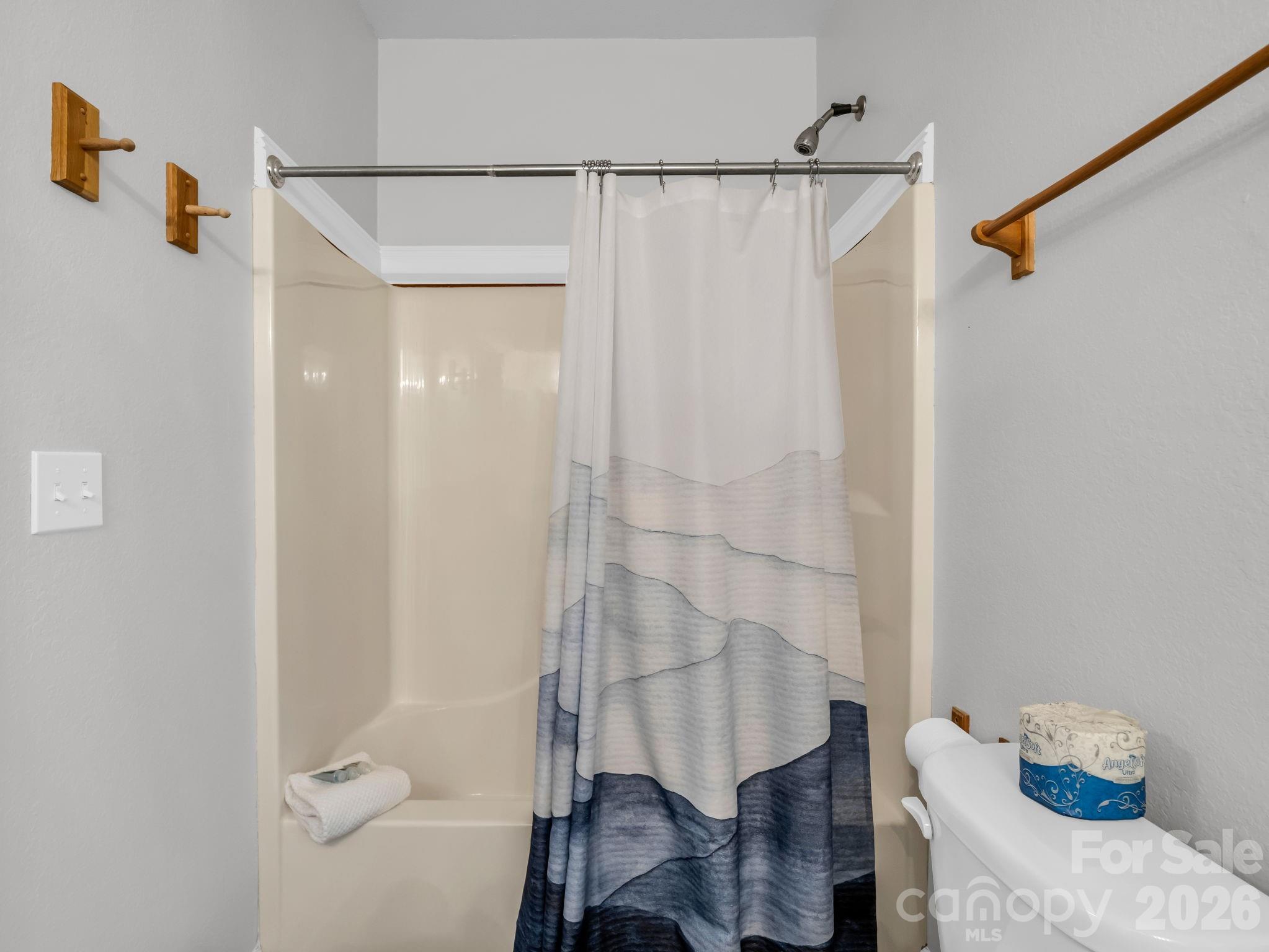 121 Fern Loop Lake Lure, NC 28746 - Photo 19 of 40 a bathroom with a shower and a sink