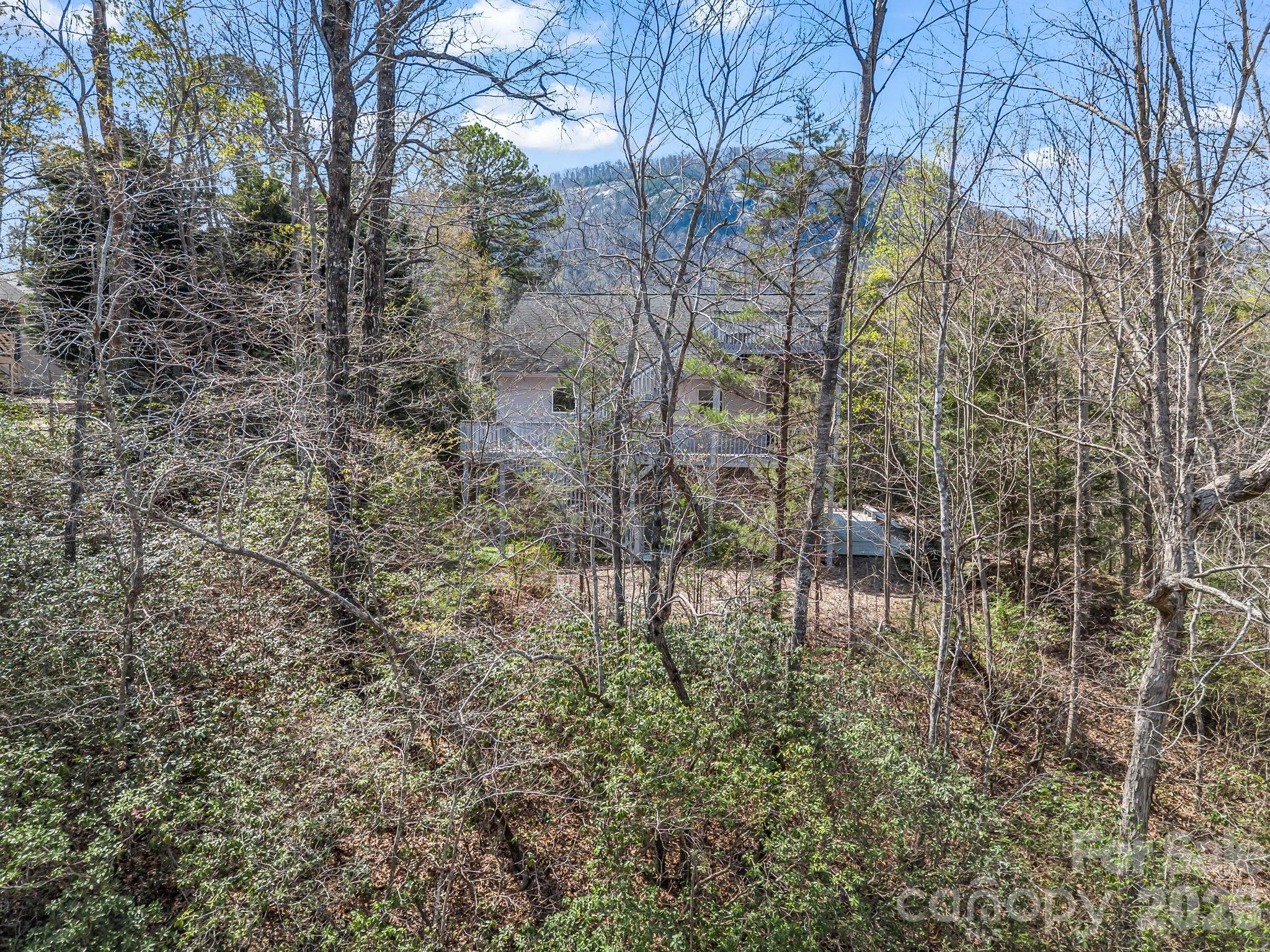 121 Fern Loop Lake Lure, NC 28746 - Photo 5 of 40 a close up of a plant in a yard
