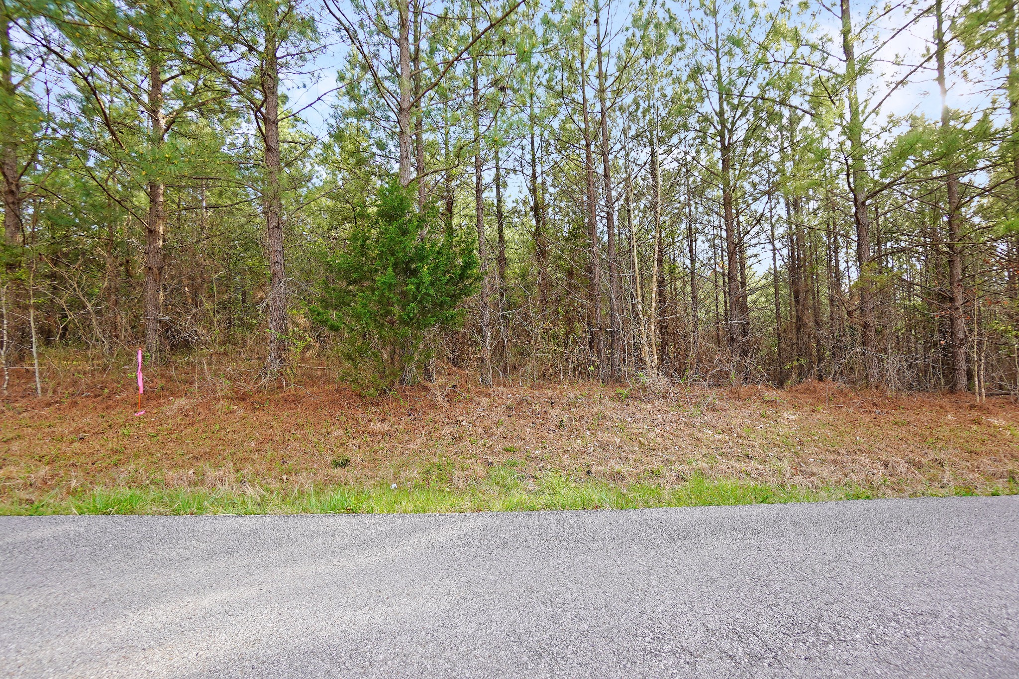 20 Cottrell Ridge Road Dover, TN 37058 - Photo 3 of 12 Gallery Image 3