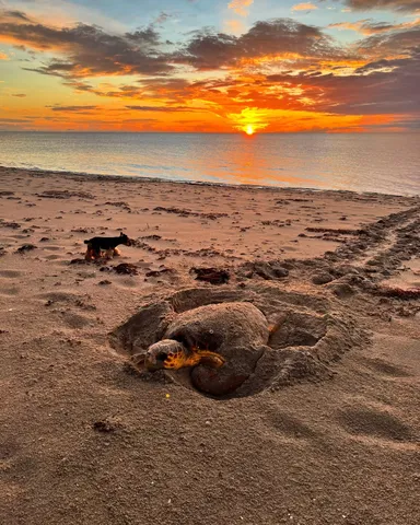 $2,900 | 3450 South Ocean Boulevard, Unit 105, Palm Beach, FL 33480