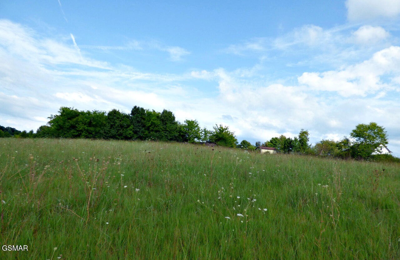 3 Wells Spring Road Dandridge, TN 37725 - Photo 11 of 18 Gallery Image 11