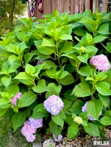 $215,000 | 2160 County Highway, Rinard, IL 62878