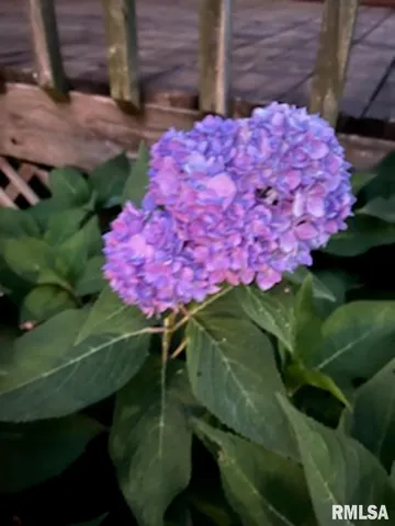 $215,000 | 2160 County Highway, Rinard, IL 62878