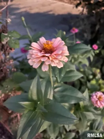 $215,000 | 2160 County Highway, Rinard, IL 62878