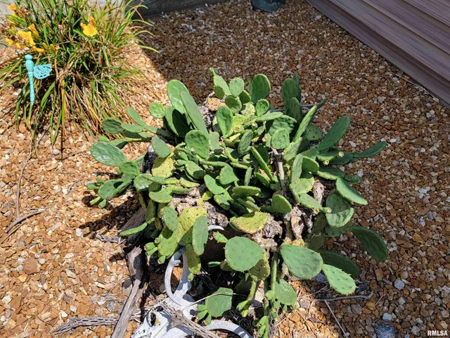 $215,000 | 2160 County Highway, Rinard, IL 62878