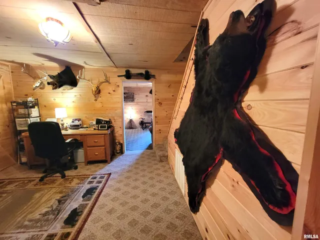 $215,000 | 2160 County Highway, Rinard, IL 62878