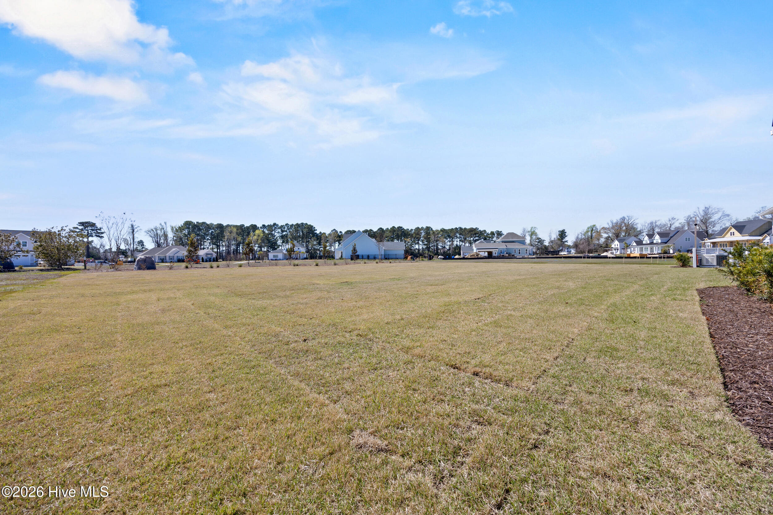 103 Dragonfly Lane Hampstead, NC 28443 - Photo 70 of 88 70_backyard