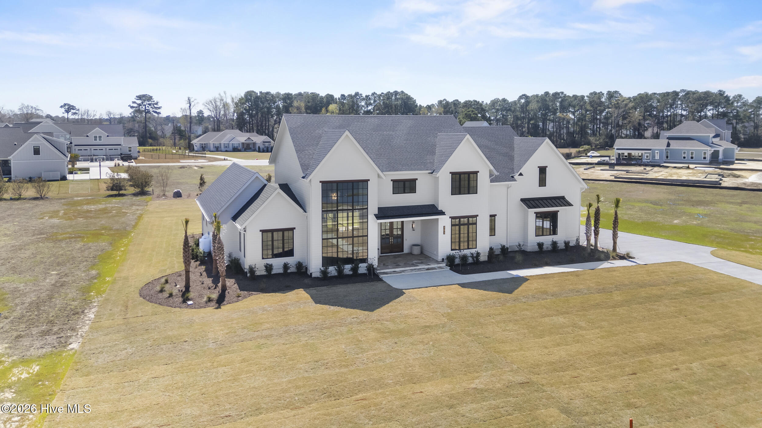 103 Dragonfly Lane Hampstead, NC 28443 - Photo 80 of 88 80_drone