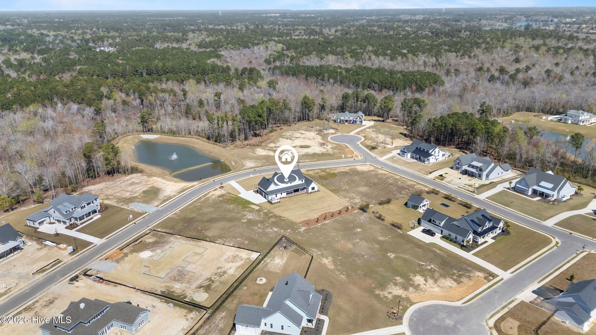 103 Dragonfly Lane Hampstead, NC 28443 - Photo 84 of 88 84_drone