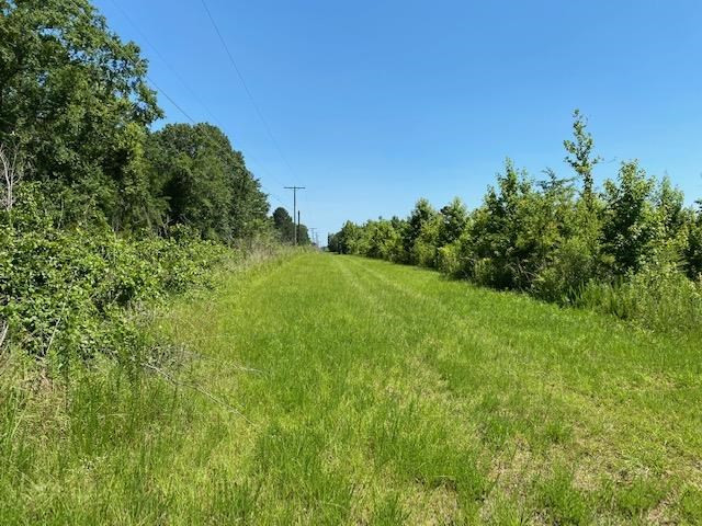 0 Cassidy Road Terry, MS 39170 - Photo 1 of 9 Photo 1