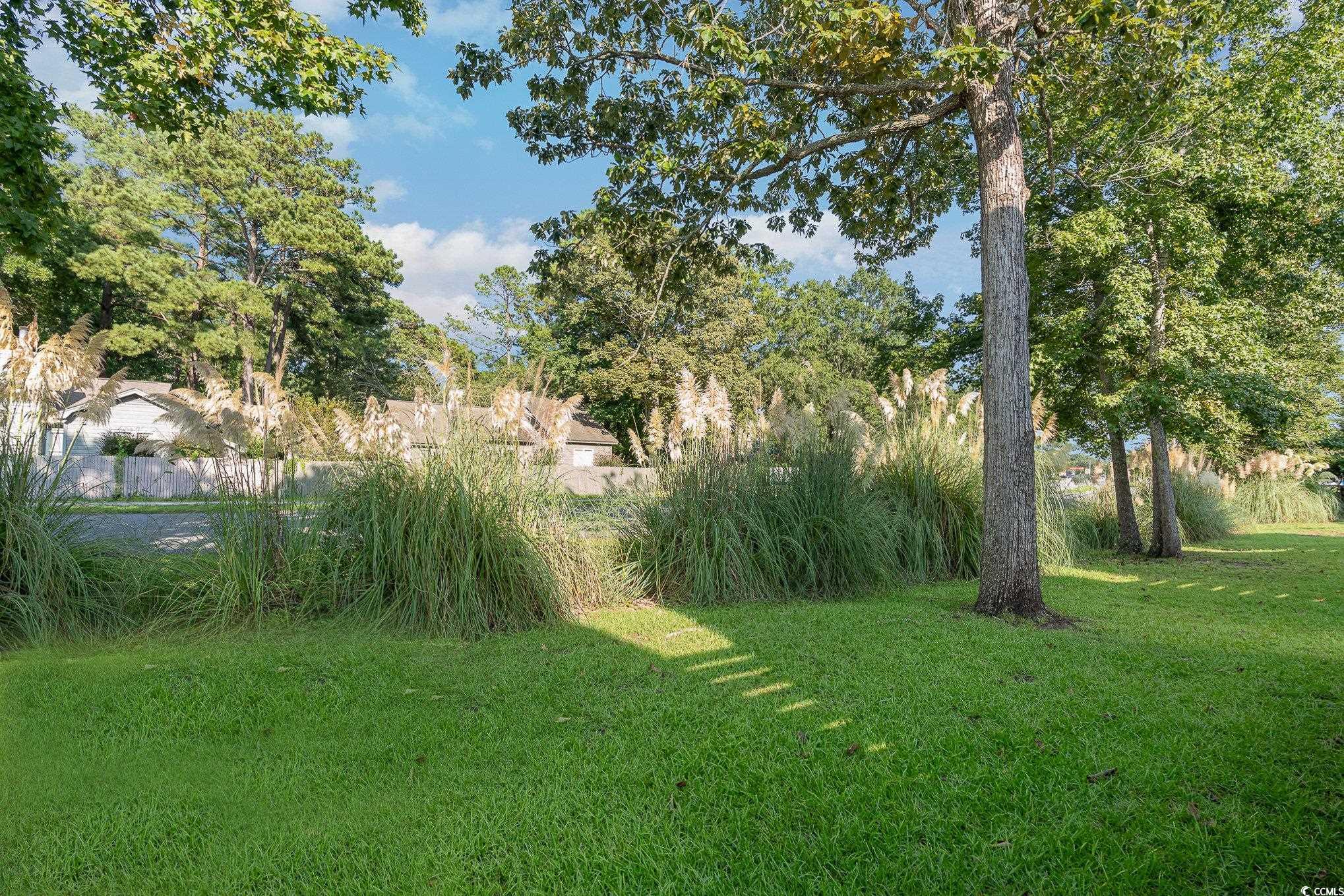 208 Kings Crossing Loop Murrells Inlet, SC 29576 - Photo 23 of 28 View of yard