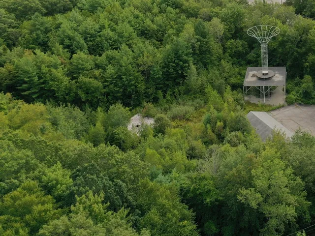 a view of a back yard