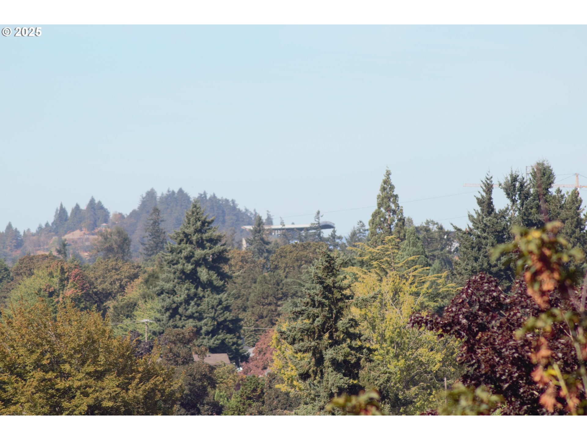 930 Prescott Lane Springfield, OR 97477 - Photo 29 of 31