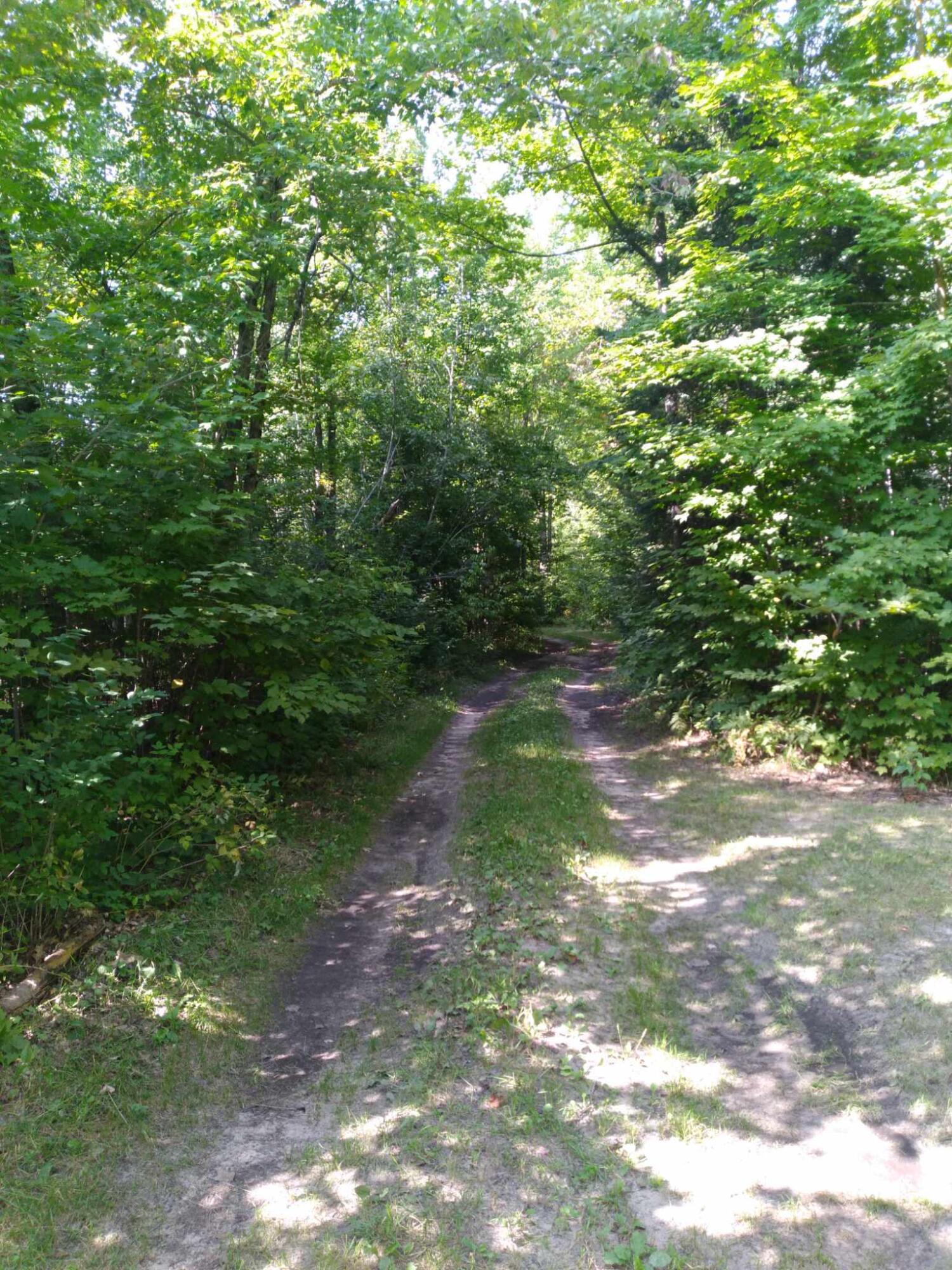 0 East Gogomain Road Pickford, MI 49774 - Photo 4 of 17 Gallery Image 4