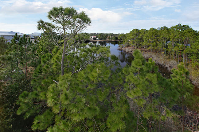 Lot 8 Tresca Place Santa Rosa Beach, FL 32459 - Photo 35 of 43