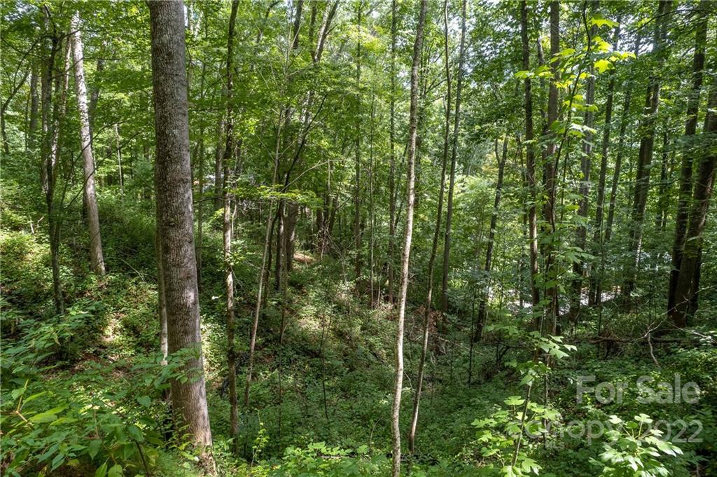 0 Cope Creek Road, Unit 3 Sylva, NC 28779 - Photo 11 of 19 Gallery Image 11