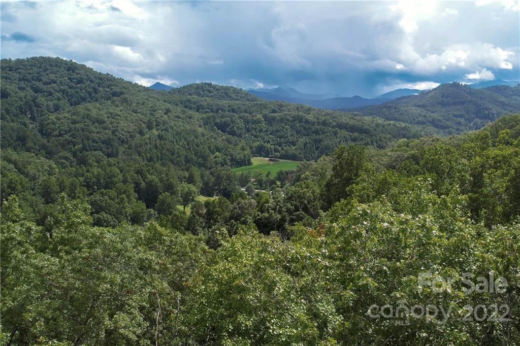 0 Cope Creek Road, Unit 3 Sylva, NC 28779 - Photo 12 of 19 Gallery Image 12
